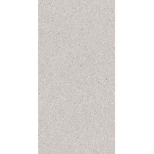 Balance Silver Matte Tile - 300x600 - Individual Tile