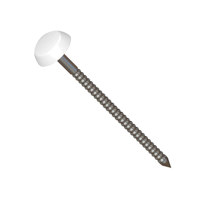 White Polytop Stainless Steel Fixing Nails