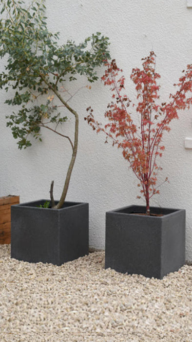 Garden Planter Orwell In Millstone