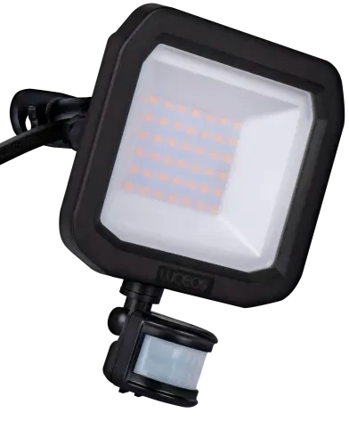 Castra Black Floodlight 5000K IP65 170Mm 3150 Total Lm 2750 Useful Lm 30W Pir