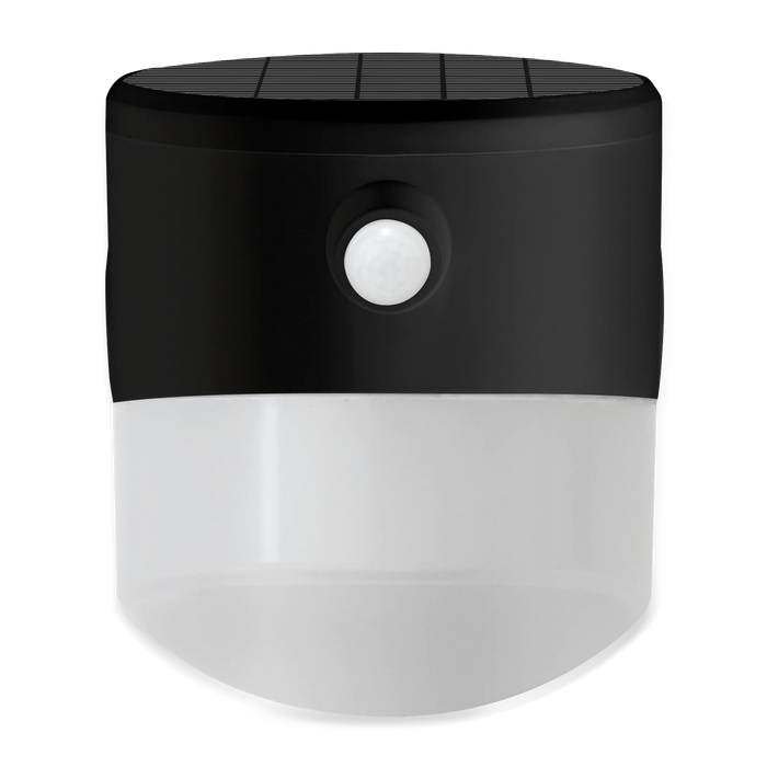 Wall Light LED Solar PIR 2W 4000K 100lm Stainless Steel