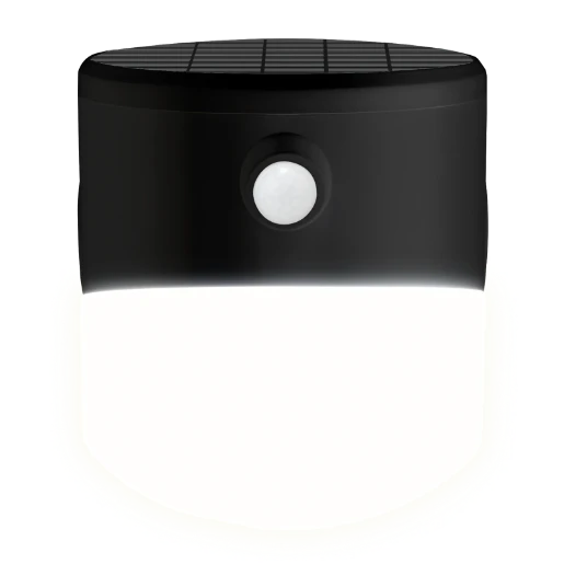 Wall Light LED Solar PIR 2W 4000K 100lm Stainless Steel