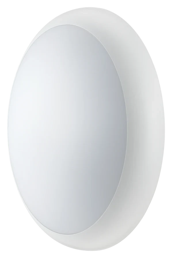 Sierra Ip54 Bulkhead 330Mm 2000Lm 24W Emergency