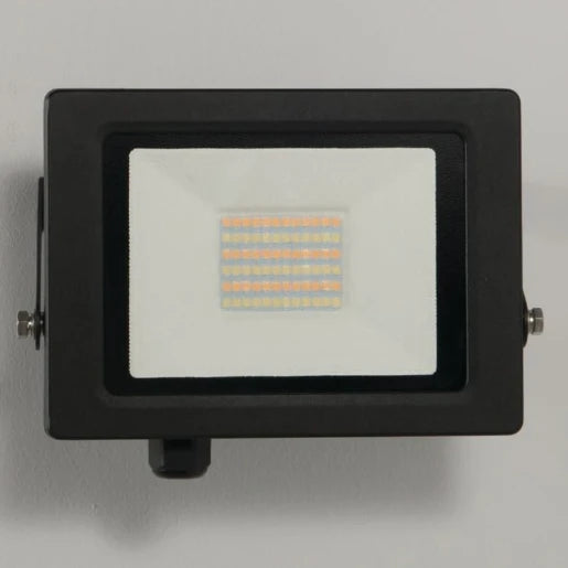 Floodlight Changeable Colour Temperature LED IP65 3000K/4000K/6000K 30W Black
