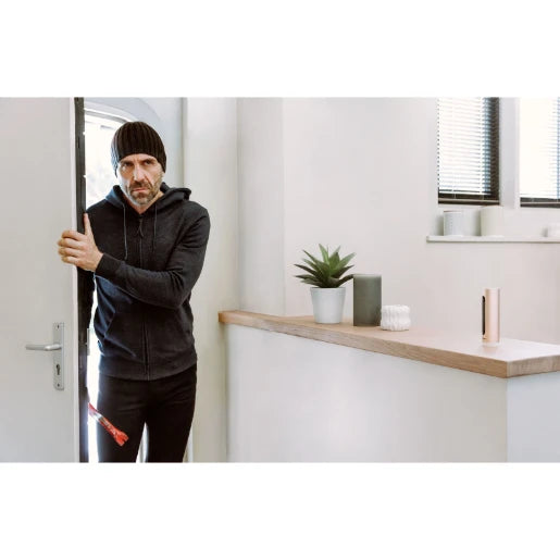 Indoor Smart Camera 45 x 45 x 155mm Aluminium