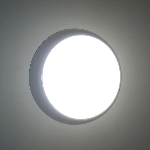 17W LED Ceiling/Wall Light
