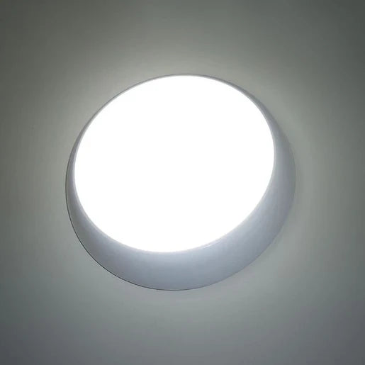 17W LED Ceiling/Wall Light