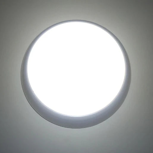 17W LED Ceiling/Wall Light