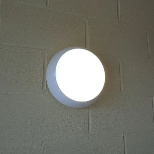 17W LED Ceiling/Wall Light
