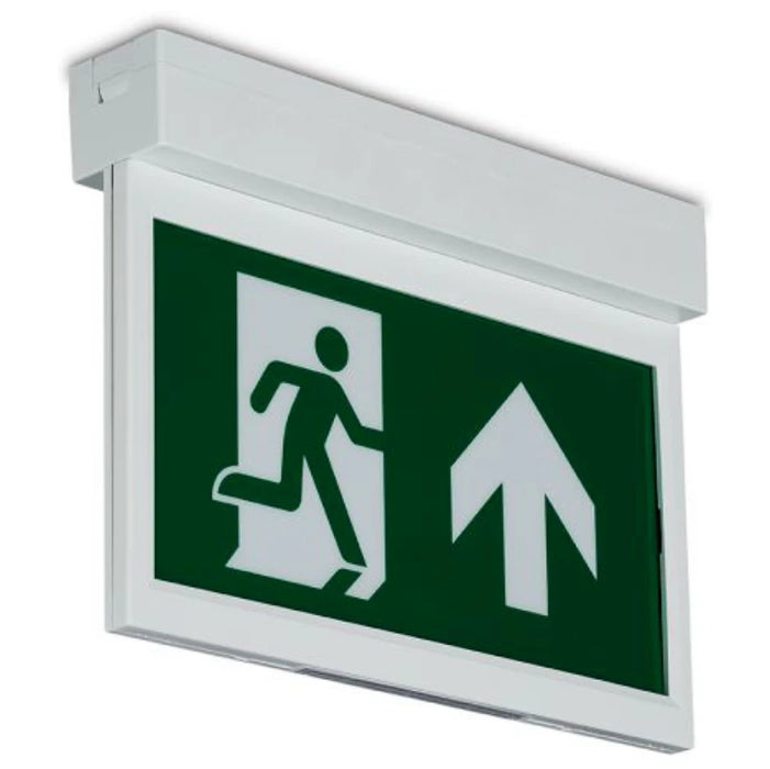 Luminaire Emergency Blade Manual Test Polycarbonate W/O Lgnd