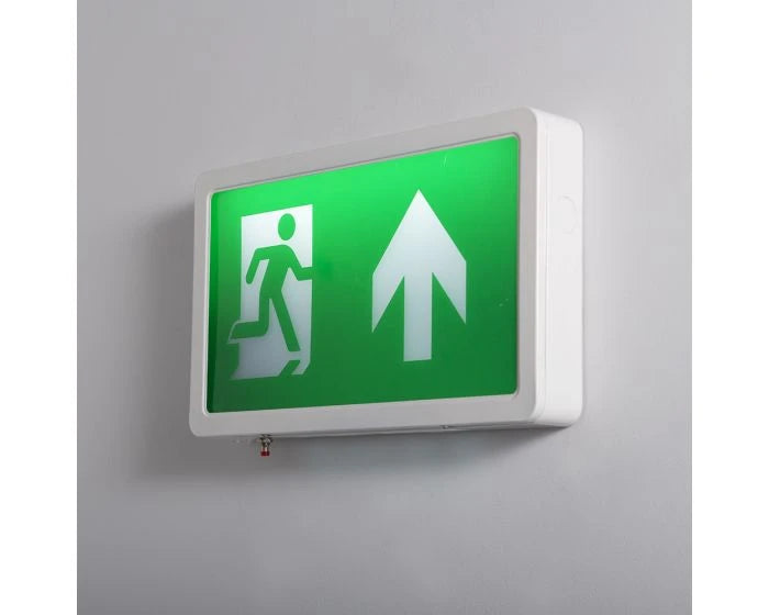 Navara 5W 6000K Self Test Emergency Ip20 Exit Box