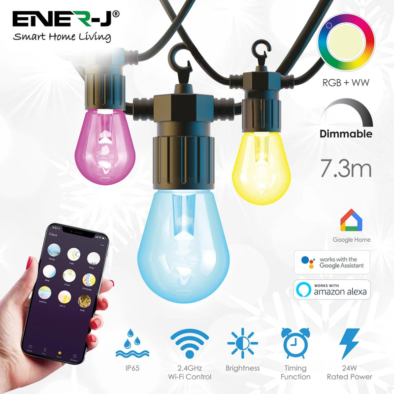 Smart LED Filament Festoon String Kit