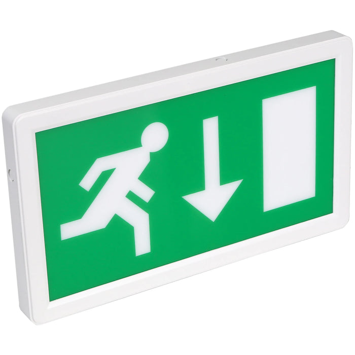 LED Wall Exit Box M/NM E3 2W with Euro Legend