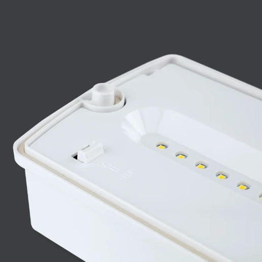 Emergency Bulkhead IP65 LED Maintained & Non Maintained