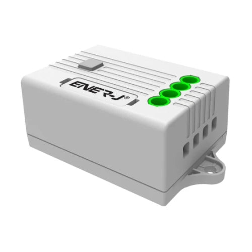 ENER-J 100W Receiver RF+Wi-Fi for Dimmable PRO SERIES APP & Voice Control Compatible with Alexa Google Home Compatible With Any Lamps