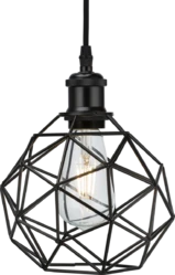 180x170mm Matt Black Pendant Cage