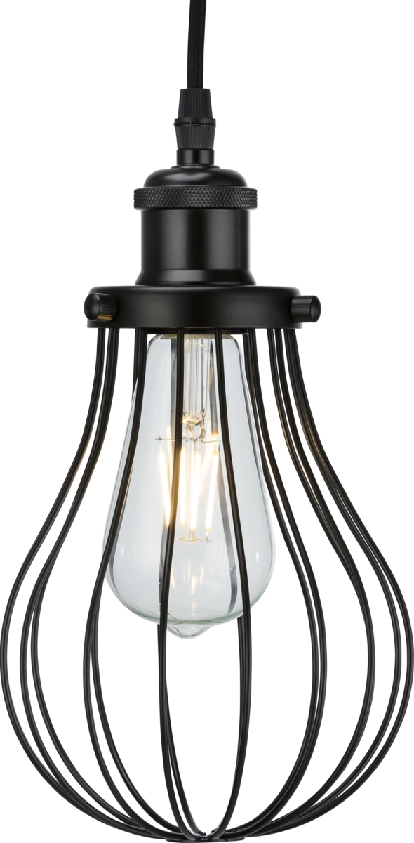 150x200mm Matt Black Pendant Cage
