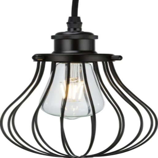 150x200mm Matt Black Pendant Cage