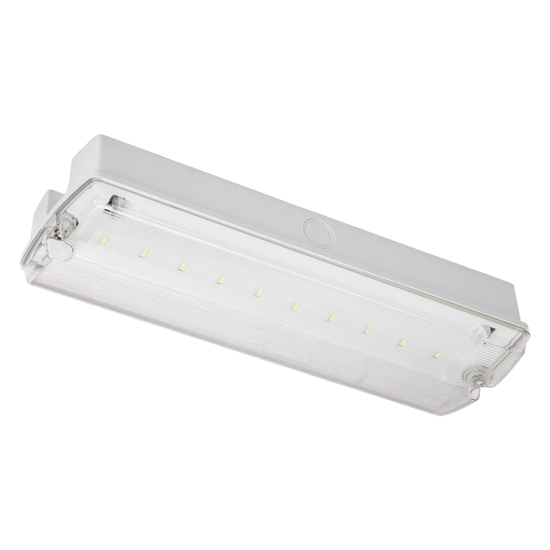 Nebraska LiFe LED IP65 Maintained Bulkhead with Euro Legend Pack