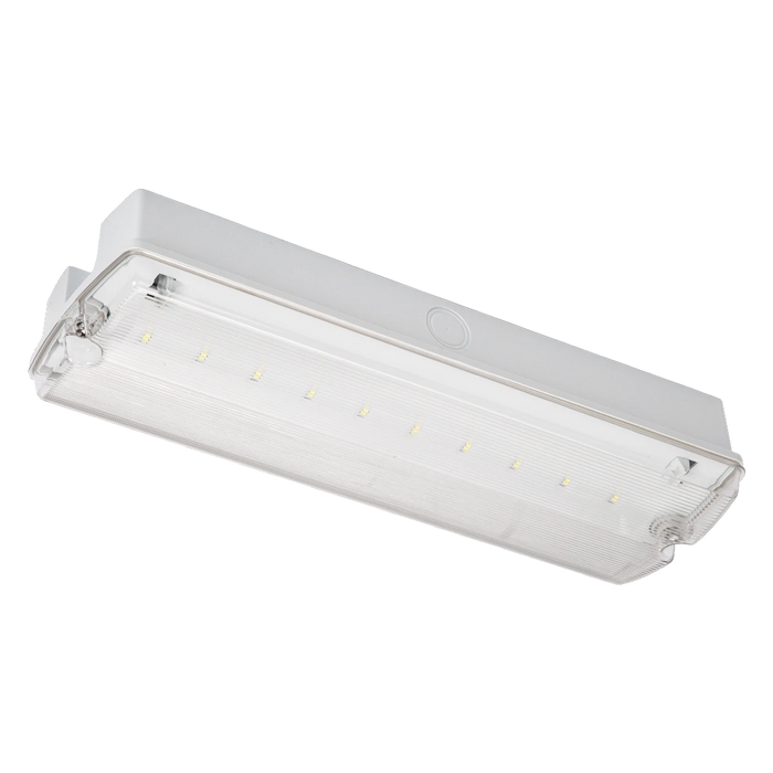 Nebraska LiFe LED IP65 Maintained Self Test Bulkhead with Euro Legend Pack