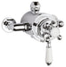 Dual Thermostatic Shower Valve