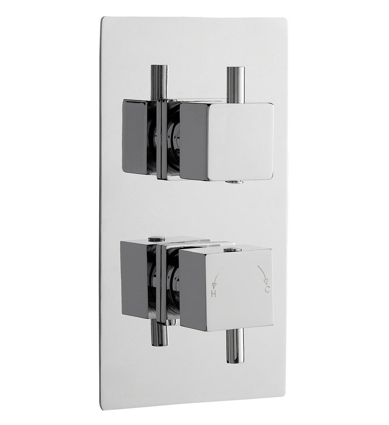 Twin Thermostatic Shower Valve With Diverter