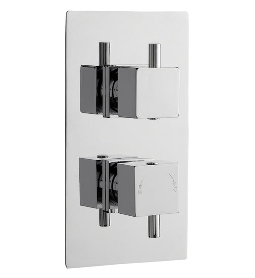 Twin Thermostatic Shower Valve With Diverter