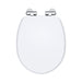 Soft Close Wooden Toilet Seat