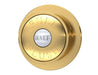 Brushed Brass Dual Flush Button