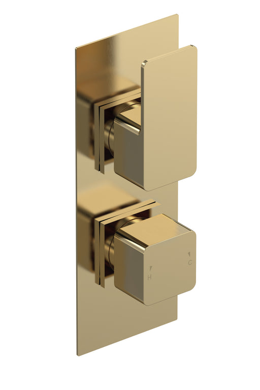 Twin Thermostatic Valve With Diverter